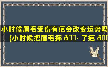 小时候眉毛受伤有疤会改变运势吗(小时候把眉毛摔 🌷 了疤 🌵 对人生会有影响吗)
